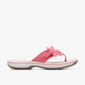 Clarks Brinkley Flora Bright Coral Light Coral | 2358RYLTM