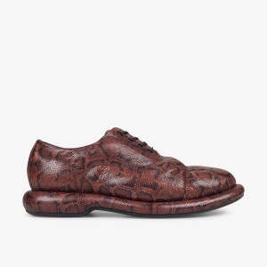 Clarks Martine Rose Mens Oxford 1 Brown Snake Brown Snake | 2713BYFXR