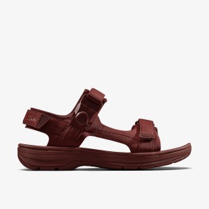 Clarks Martine Rose Mens Sandal 2 Oxblood Textile Burgundy | 6329ITWPH